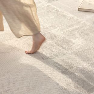 轻奢高级感沙发茶几毯防水防污简约地垫免洗可擦 地毯客厅2024新款