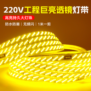 led灯带220v320珠超亮户外防水工程氛围灯室外墙暖光白光硅胶灯条