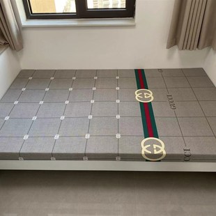 高密度硅胶回弹棉床垫加厚加硬沙发垫飘窗垫学生垫子榻榻米垫定做