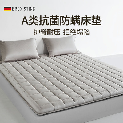 布瑞丝汀床垫软垫家用榻榻米垫子折叠褥子防潮薄垫褥海绵单人垫被