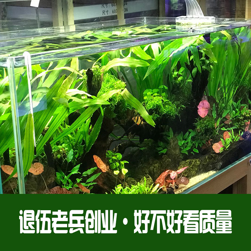 超白鱼缸定制定做金晶超白玻璃客厅中小型桌面鱼缸长方形水草缸