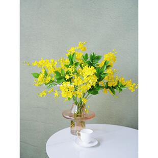 柠檬黄跳舞兰花束搭配插花家居办公装饰点缀氛围感满满云南直发
