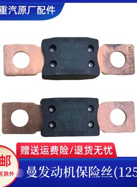 重汽豪沃T5G T7H TX TH7 MAX汕德卡C7H G7保险丝曼发动机保险丝片