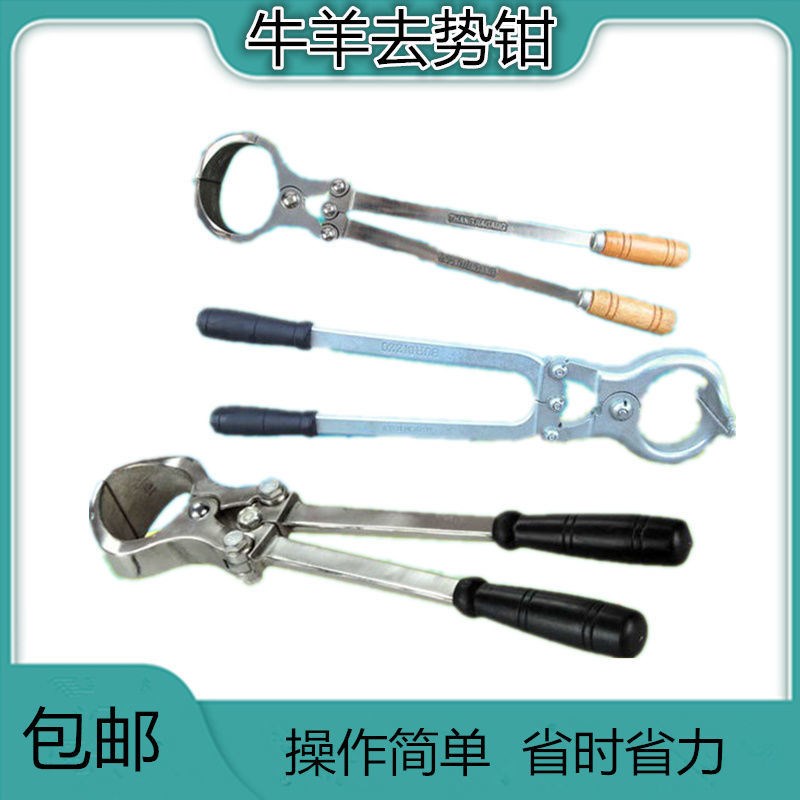 牛羊无血不锈钢去势m钳去势器煽羊钳阉猪钳夹子阉割夹蛋钳兽用器