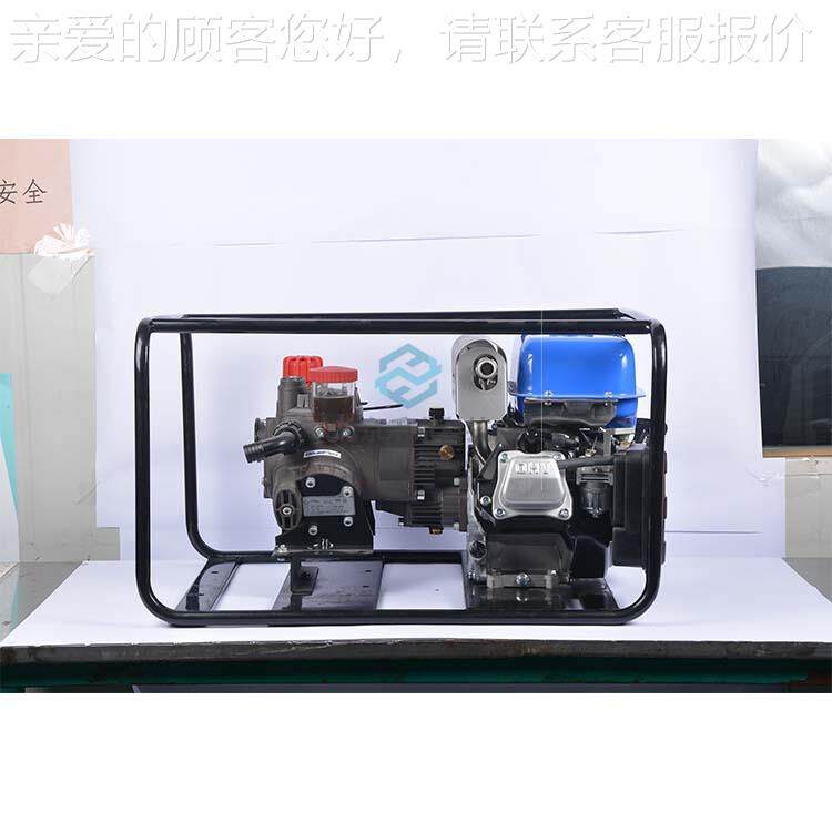 森林大消防泵功援率抽水泵抢Y险救扑火泵意667大利隔膜泵GB55/0.4