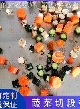 VDU商段用糯藕切段机 切输送式山药莴笋切机器 供应竹竹芯笋段机