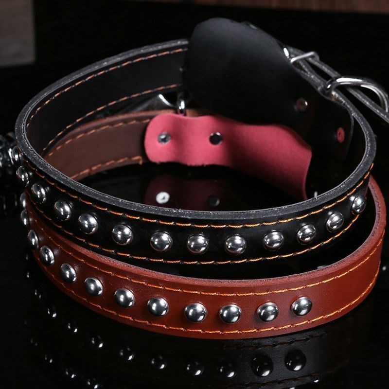 中型大型犬狗狗牵引绳牛皮狗链子金毛德牧防爆冲遛狗绳子项圈用