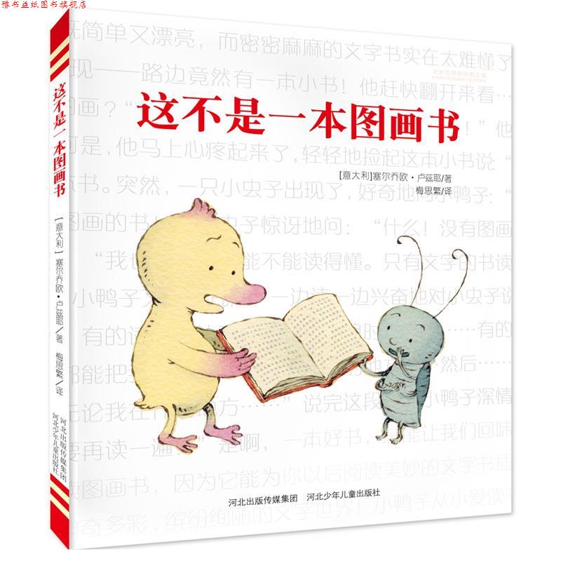 【正版书】 这不是一本图画书 塞尔乔欧卢兹耶 ,梅思繁 河北少年儿童出版社
