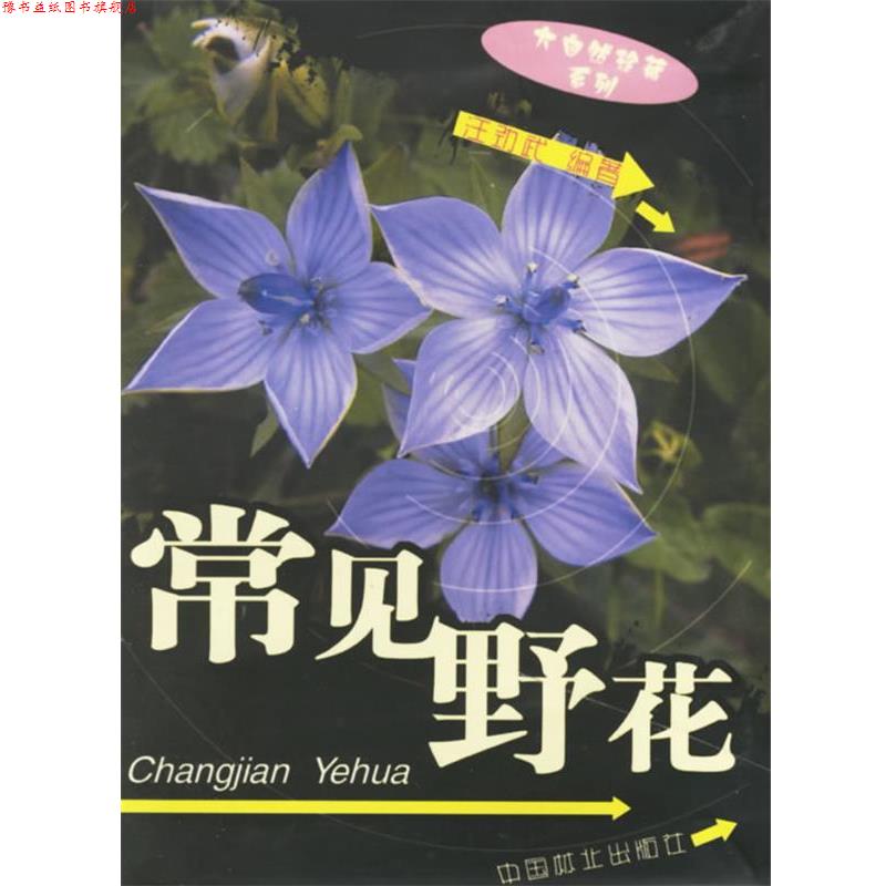 【正版书】 常见野花 汪劲武 编著 中国林业出版社