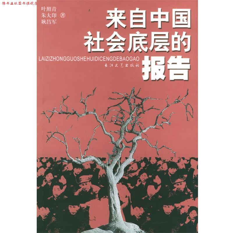 【正版书】 来自中国社会底层的报告 叶照青,朱大印,耿昌军 著 长江文艺出版社