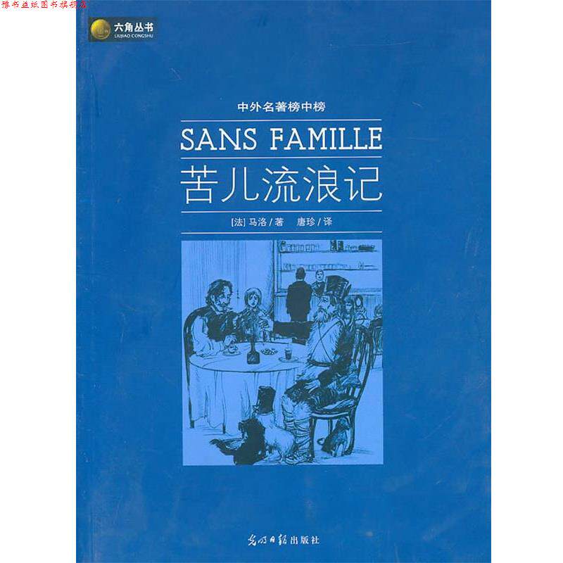 【正版书】 六角丛书中外名著榜中榜·苦儿流浪记 (法)马洛　著,唐珍　译 光明日报出版社