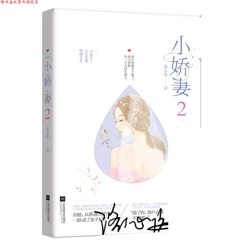【正版书】 小娇妻2 洛心辰 江苏凤凰文艺出版社