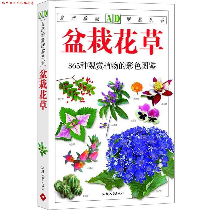 【正版书】 盆栽花草-365种观赏植物的彩色图鉴 徐晔春, 江珊 汕头大学出版社