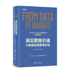 【正版书】 洞见数据价值:大数据挖掘要案纪实 毕马威中国大数据团队 清华大学出版社