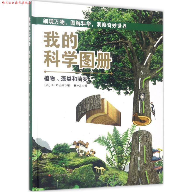 【正版书】 植物、藻类和菌类 西班牙So190公司 著,林十之 译 四川少年儿童出版社