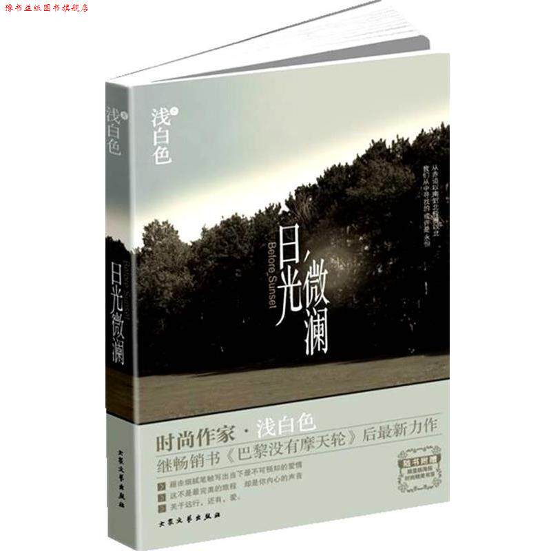 【正版书】 日光微澜 浅白色 著 大众文艺出版社