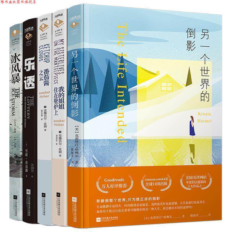 【正版书】 另一个世界的倒影 (美)克莉丝汀·哈梅尔 江苏凤凰文艺出版社