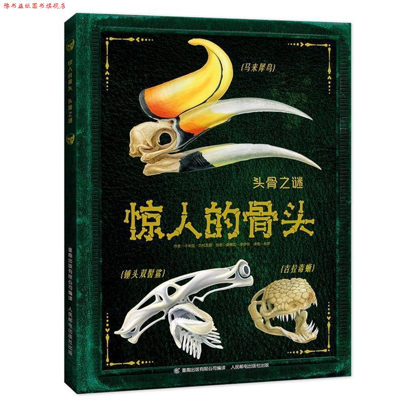 【正版书】 惊人的骨头:头骨之谜 罗布·科尔森 著,童趣出版有限公司 编 人民邮电出版社