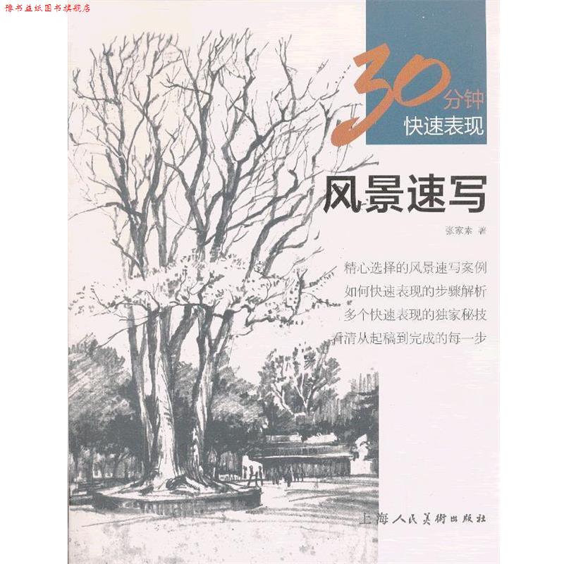 【正版书】 风景速写---30分钟表现 张家素 上海人民美术出版社