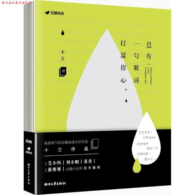 【正版书】 总有一句歌词打湿你心 十三 浙江文艺出版社