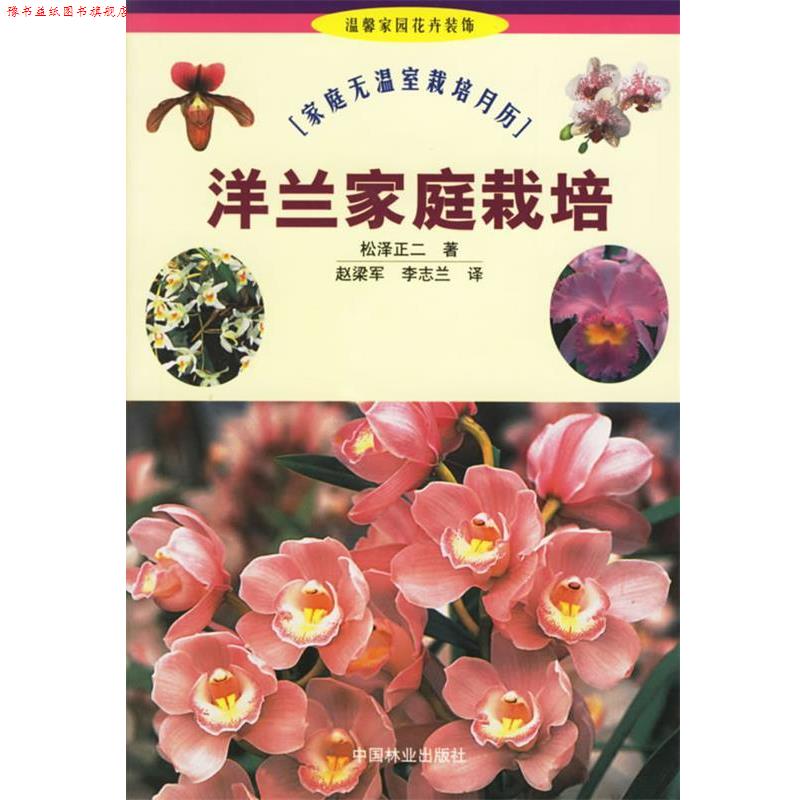 【正版书】 洋兰家庭栽培 (日)松泽正二 著,赵梁军,李志兰 译 中国林业出版社