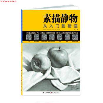 【正版书】 素描静物从入门到精通 熊飞 湖北美术出版社