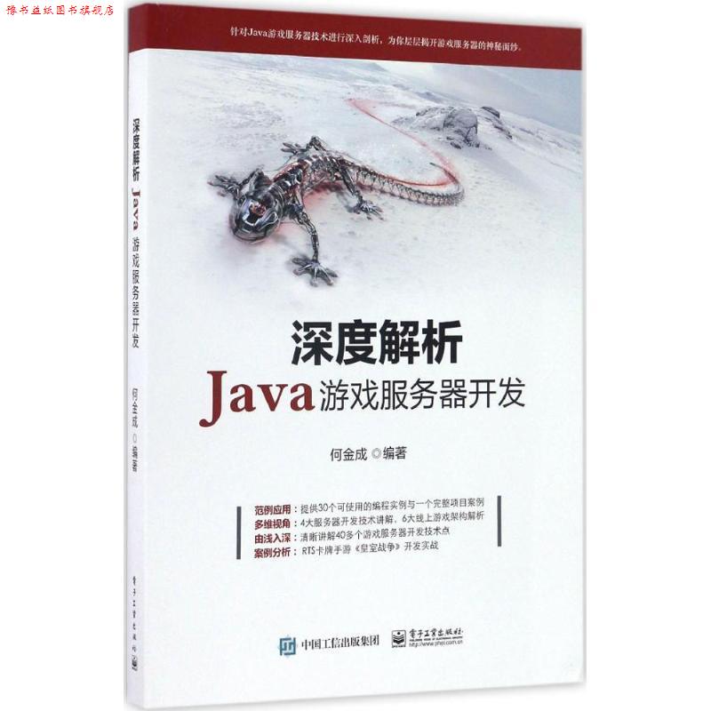 【正版书】 深度解析Java游戏服务器开发 何金成 著 电子工业出版社