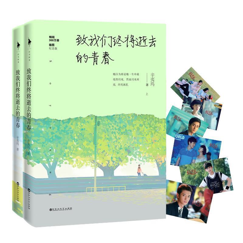 【正版书】 致我们终将逝去的青春- 辛夷坞 百花洲文艺出版社