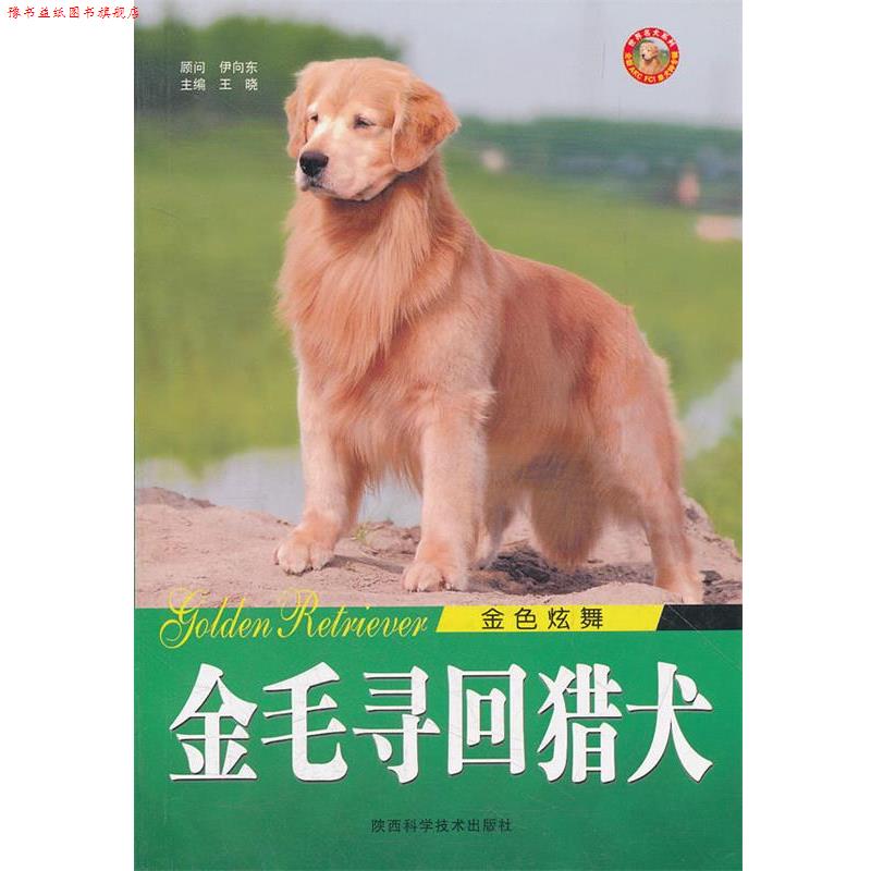 【正版书】 金毛寻回猎犬 王晓 主编 陕西科学技术出版社