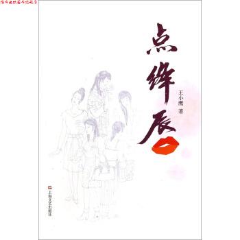 【正版书】 点绛唇 王小鹰 上海文艺出版社