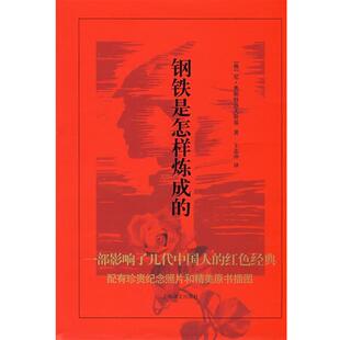 【正版书】 钢铁是怎样炼成的 (俄)奥斯特洛夫斯基　著,王志冲　译 上海译文出版社