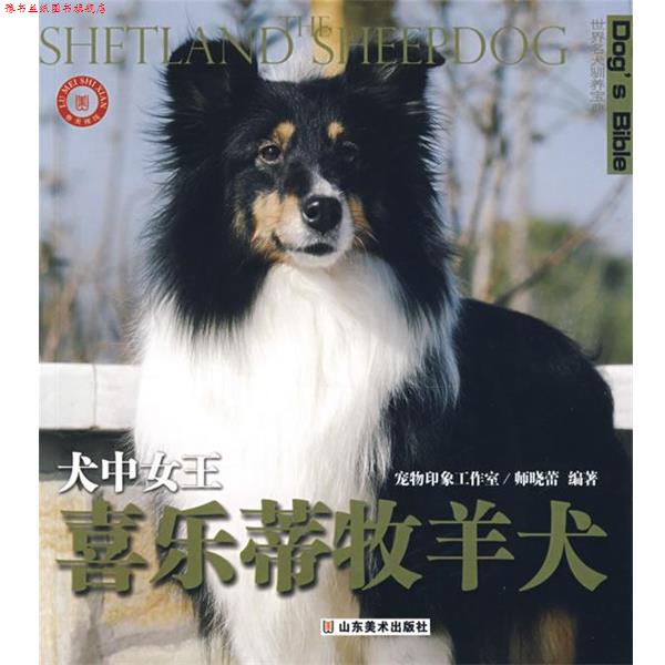 【正版书】 世界名犬驯养宝典－犬中女王 喜乐蒂牧羊犬 师晓蕾 编著 山东美术出版社