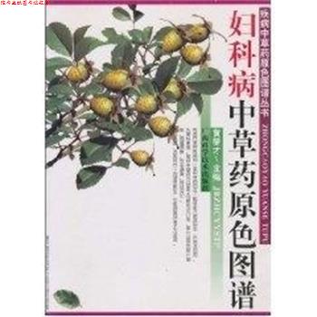 【正版书】 妇科病中草药原色图谱 疾病中草药原色图谱丛书 黄燮才 广西科学技术出版社