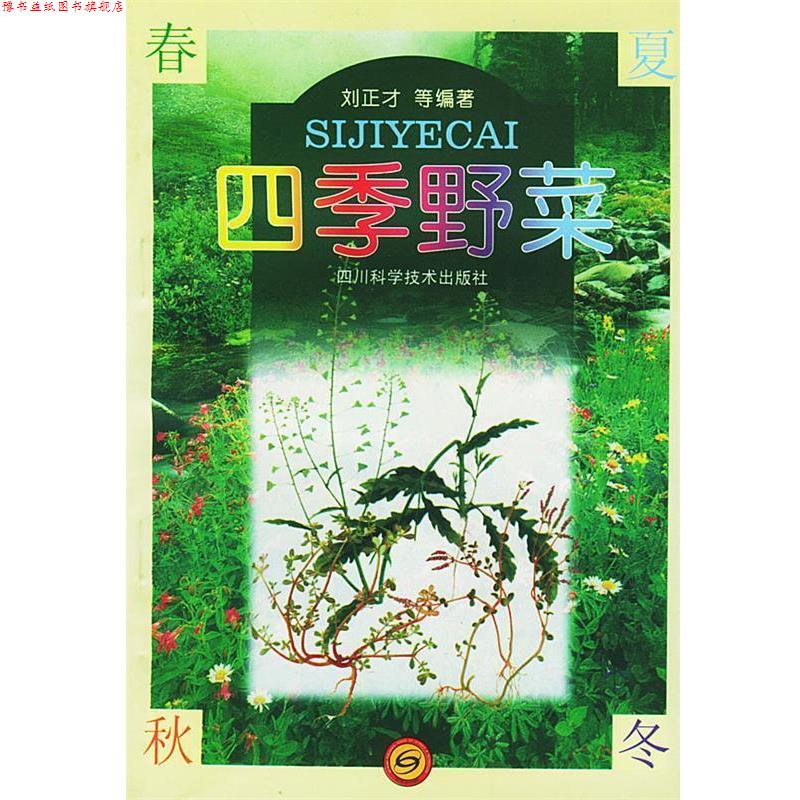 【正版书】 四季野菜 刘正才 四川科技出版社