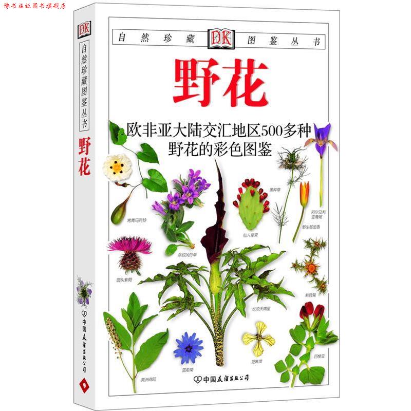 【正版书】 DK自然珍藏图鉴丛书 [英] 伯尼（Burnie D.） 著,张扬,王静 译 中国友谊出版公司