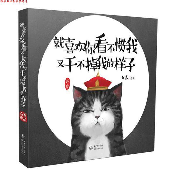【正版书】 就喜欢你看不惯我又干不掉我的样子 白茶 长江文艺出版社