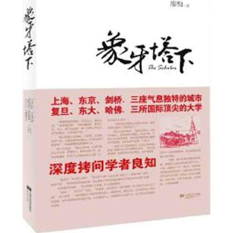 【正版书】 象牙塔下 廖梅 著 江苏文艺出版社