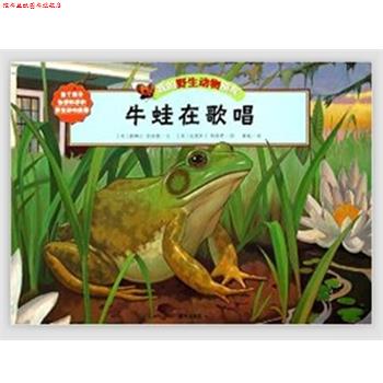 【正版书】 牛蛙在歌唱-我的野生动物朋友 [美] 德博拉·登纳德 著,[美] 克里斯丁·凯斯特 绘, 明天出版社