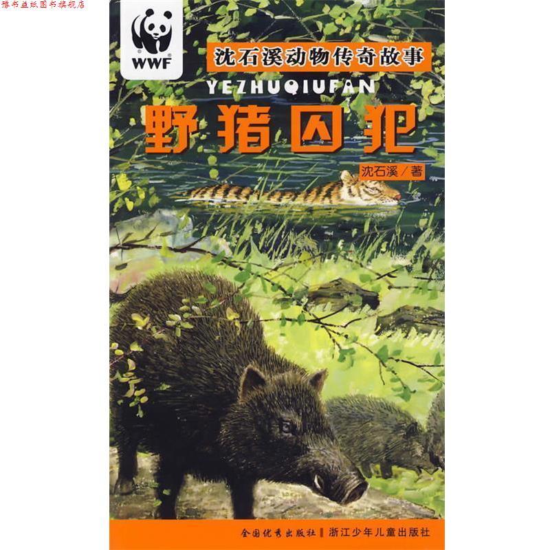 【正版书】 野猪囚犯 沈石溪动物传奇故事 沈石溪 著 浙江少年儿童出版社
