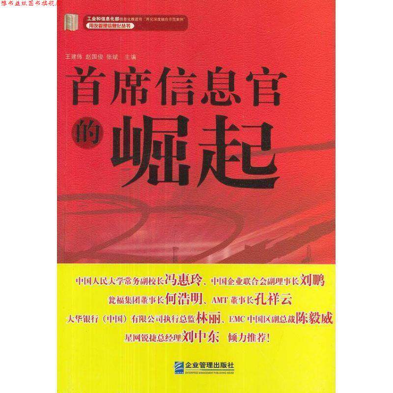 【正版书】 首席信息官的崛起 王建伟,赵国俊,张斌 编 企业管理出版社