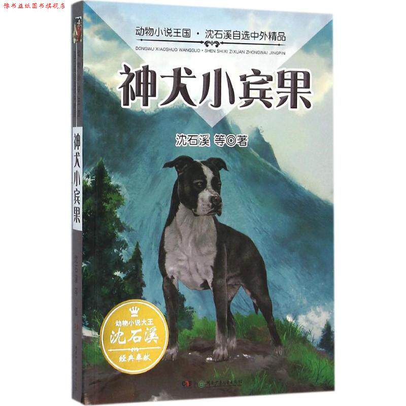 【正版书】 动物小说王国·沈石溪自选中外精品·神犬小宾果 沈石溪 湖南少年儿童出版社