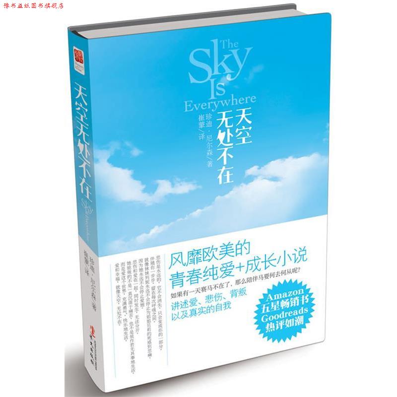 【正版书】 天空无处不在 珍迪•尼尔森 著,崔蒙 译 华文出版社
