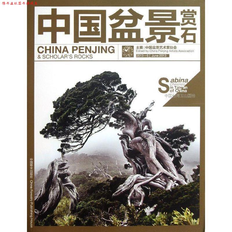 【正版书】 中国盆景赏石2013-6 中国盆景艺术家协会　编 中国林业出版社