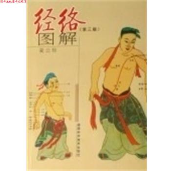 【正版书】 经络图解 蔺云桂 编著 福建科学技术出版社