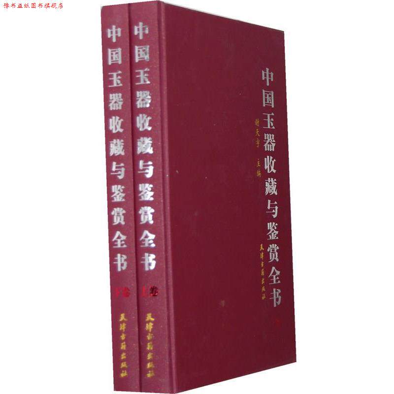 【正版书】 中国玉器收藏与鉴赏全书 谢天宇 主编 天津古籍出版社