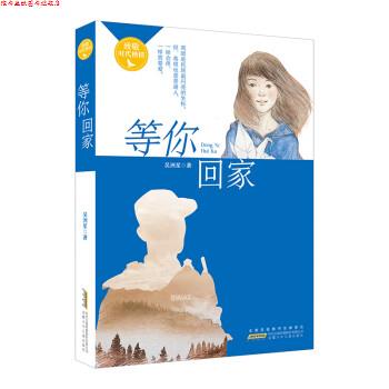【正版书】 等你回家 吴洲星 安徽少年儿童出版社