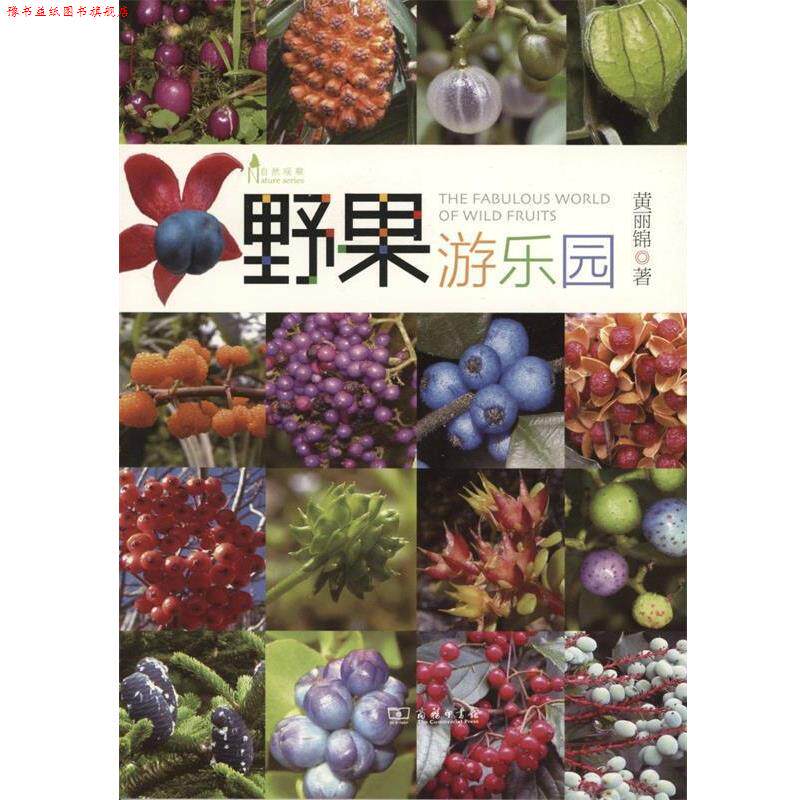 【正版书】 野果游乐园 黄丽锦 著 商务印书馆