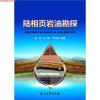 【正版书】 陆相页岩油勘探 陈祥,王敏,严永新 等 著 石油工业出版社