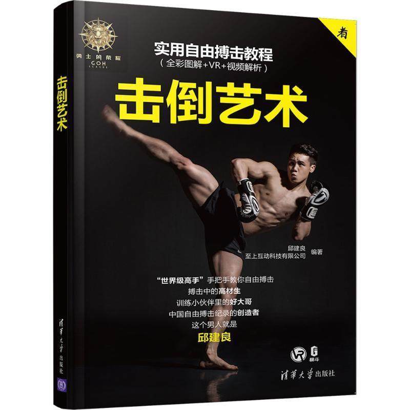 【正版书】 击倒艺术 邱建良 等 编著 清华大学出版社