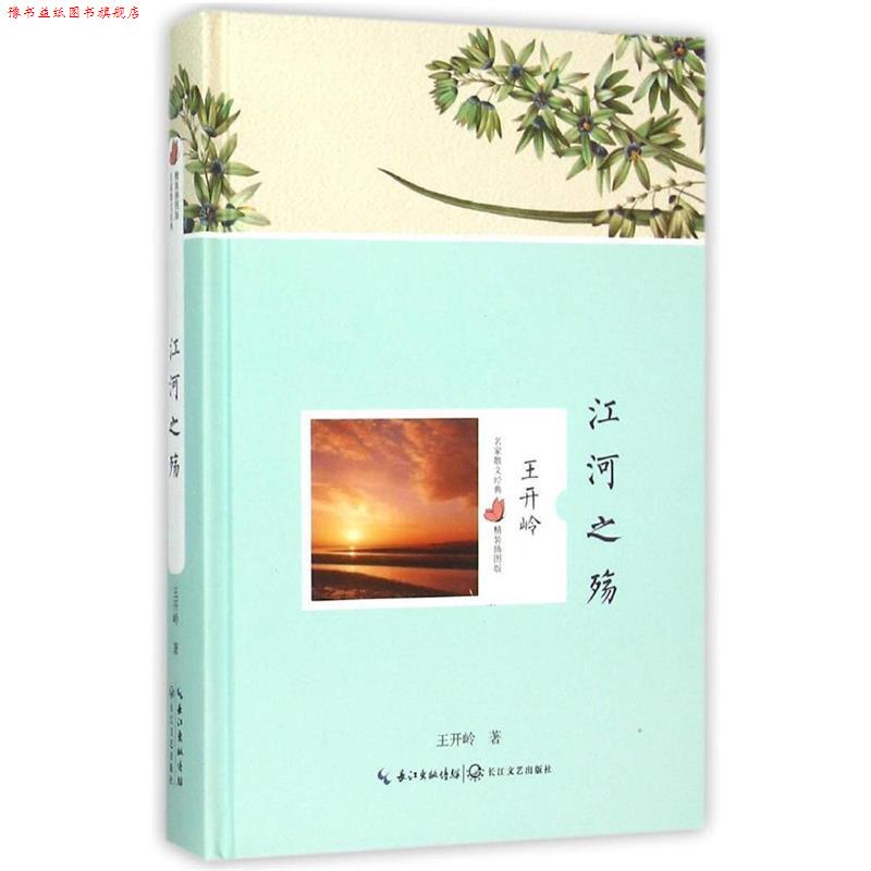 【正版书】 江河之殇 名家散文经典 王开岭 长江文艺出版社